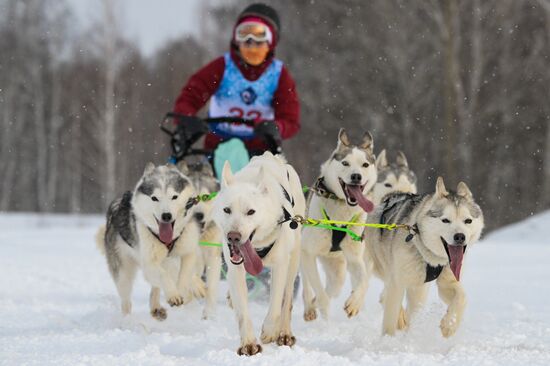Russia Sled Dog Racing Championship