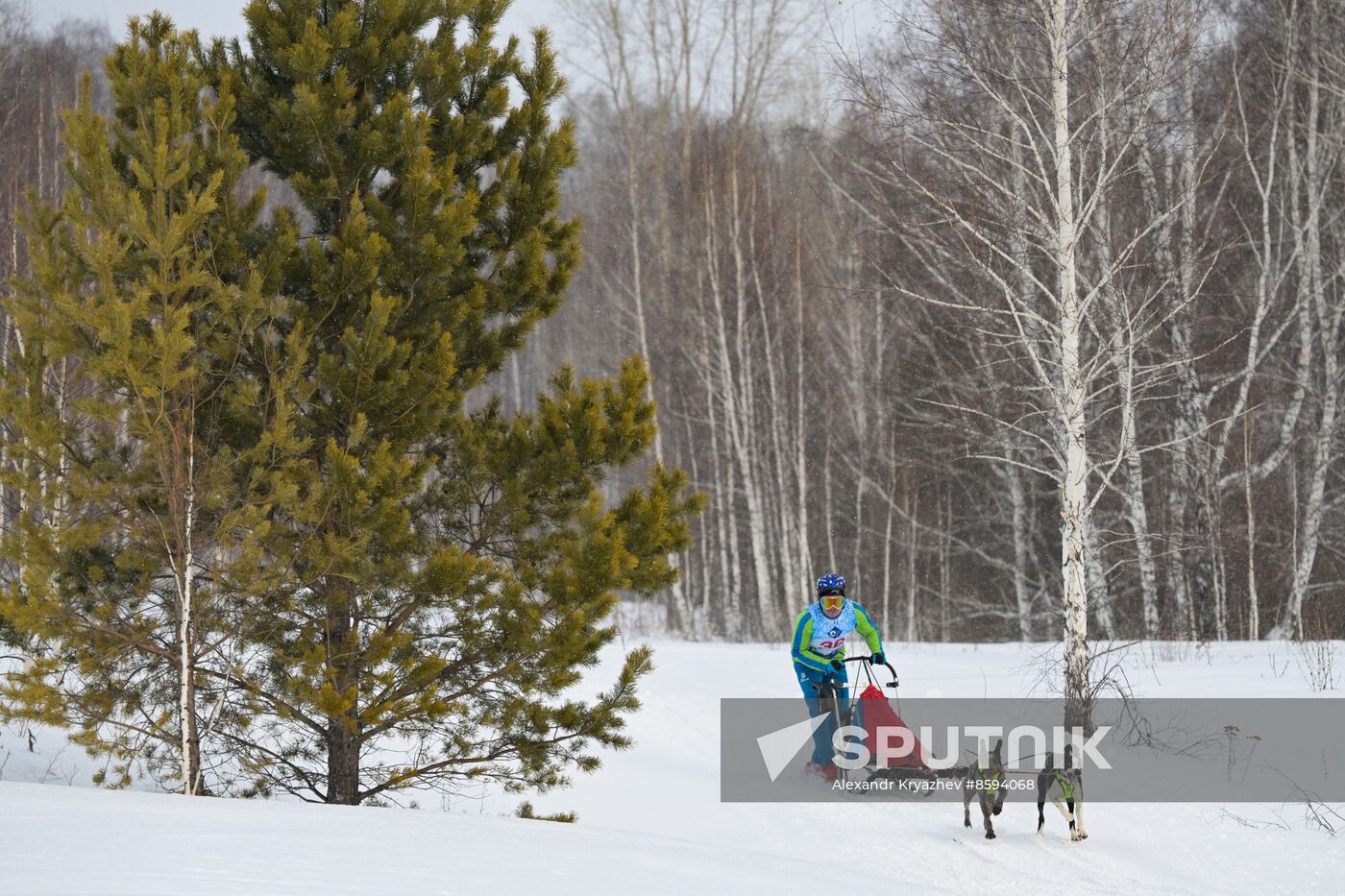 Russia Sled Dog Racing Championship