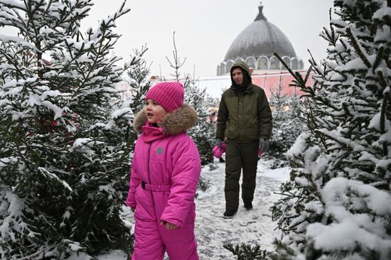 The International RUSSIA EXPO Forum and Exhibition. Russian Winter Festival. Location: Russia, Moscow. Author: Grigory Sysoev/Sputnik. RUSSIA EXPO. Russian Winter Festival