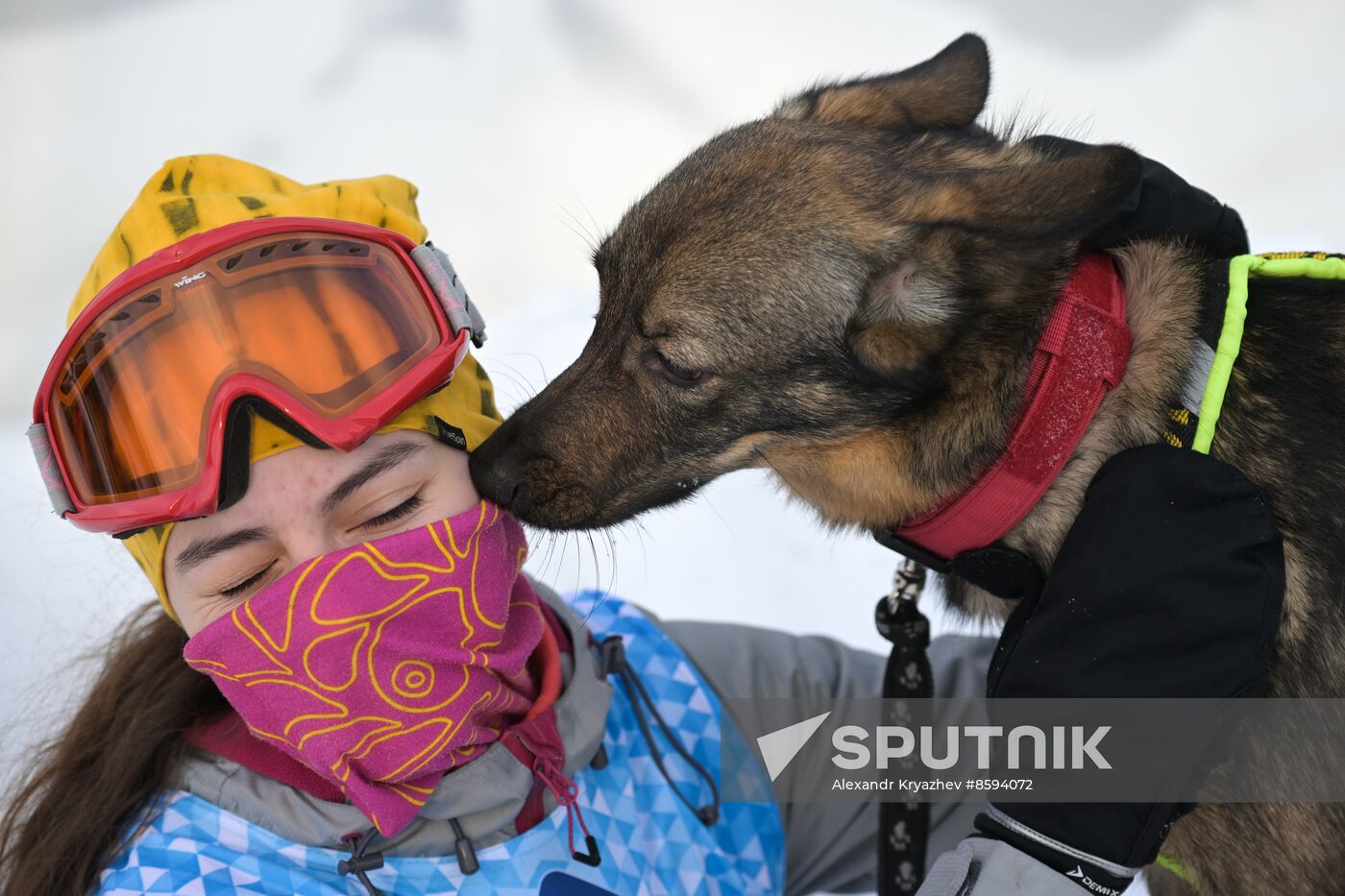 Russia Sled Dog Racing Championship