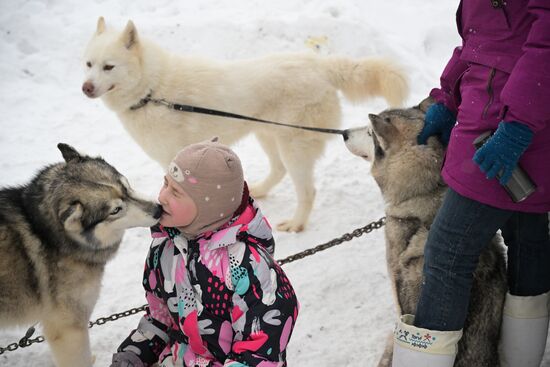 Russia Sled Dog Racing Championship