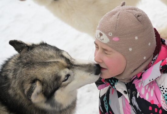 Russia Sled Dog Racing Championship