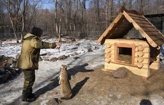 Russia Animals Safari Park
