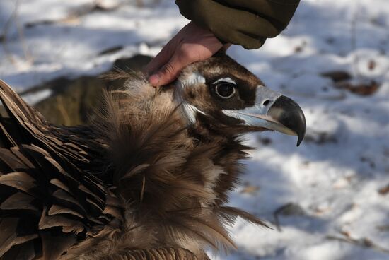 Russia Animals Safari Park