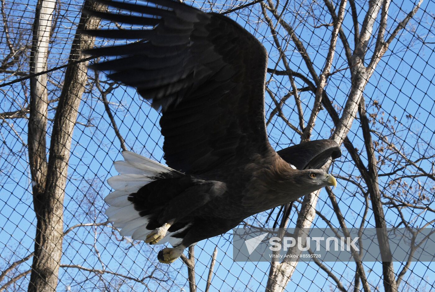 Russia Animals Safari Park
