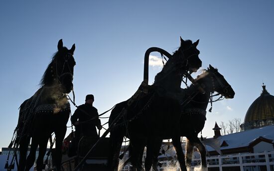 RUSSIA EXPO. Riding Russian troika