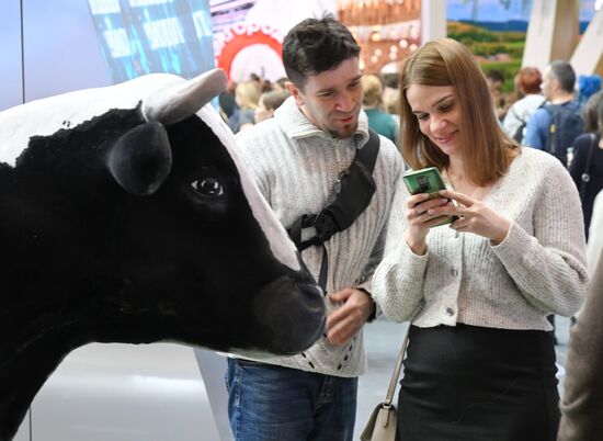 RUSSIA EXPO