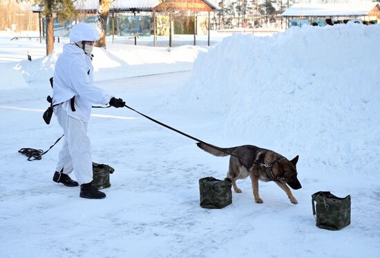 Russia Engineer Troops Military Exercises