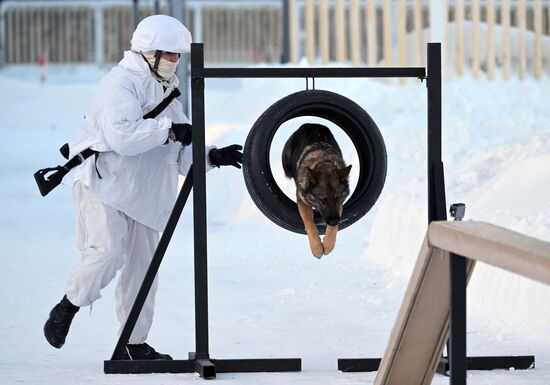 Russia Engineer Troops Military Exercises