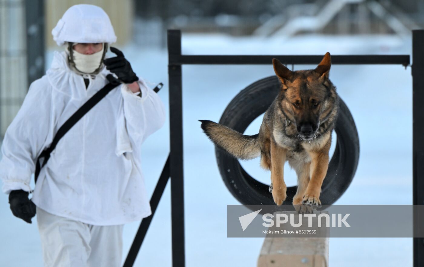 Russia Engineer Troops Military Exercises
