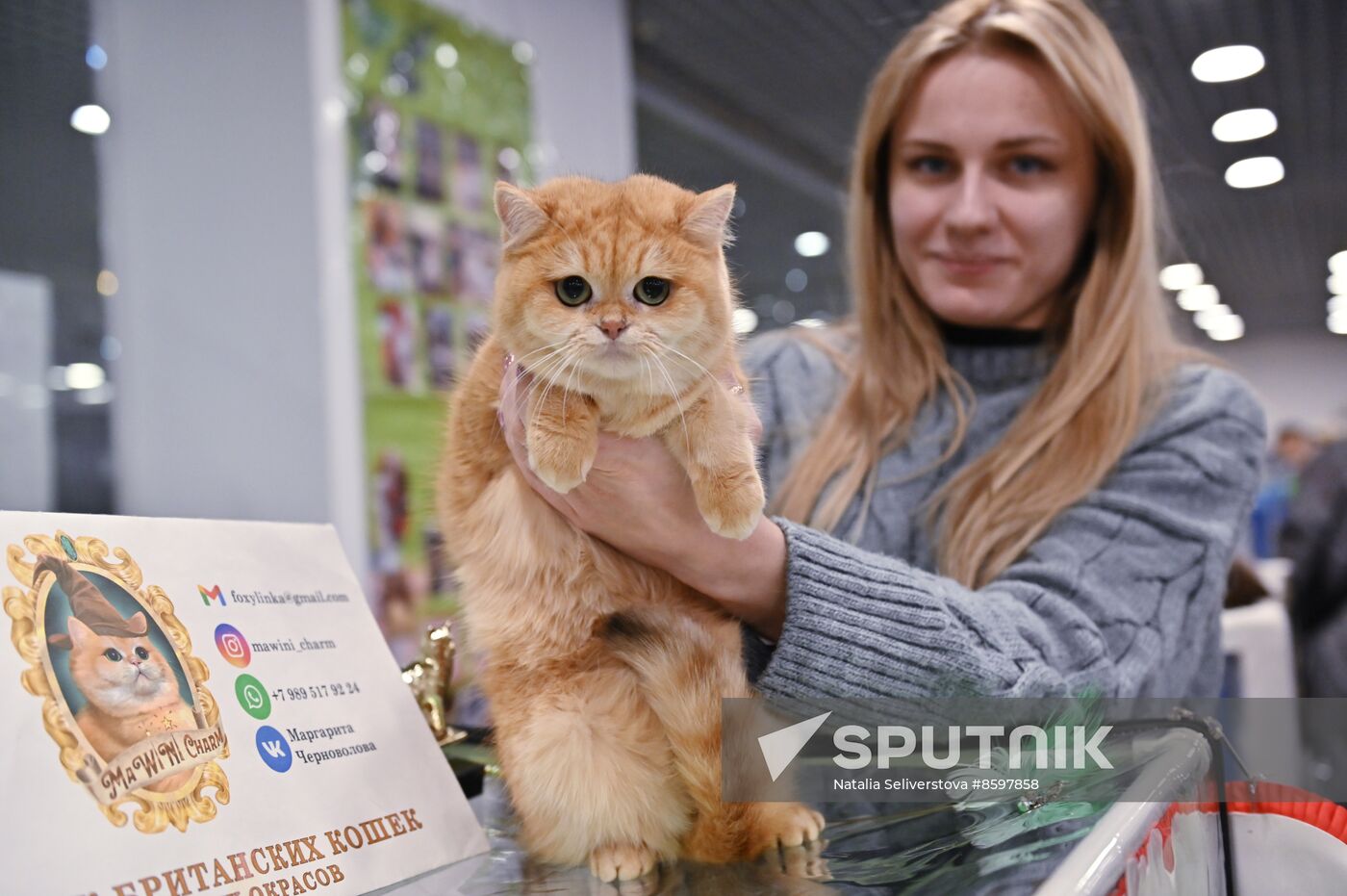 Russia Cat Show