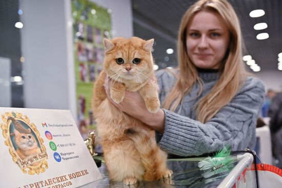 Russia Cat Show