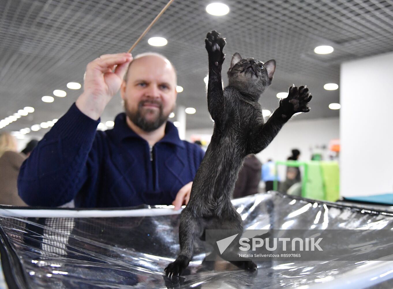 Russia Cat Show