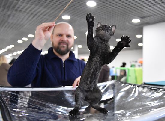 Russia Cat Show