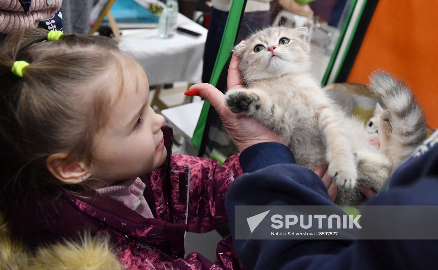 Russia Cat Show