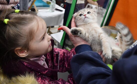 Russia Cat Show