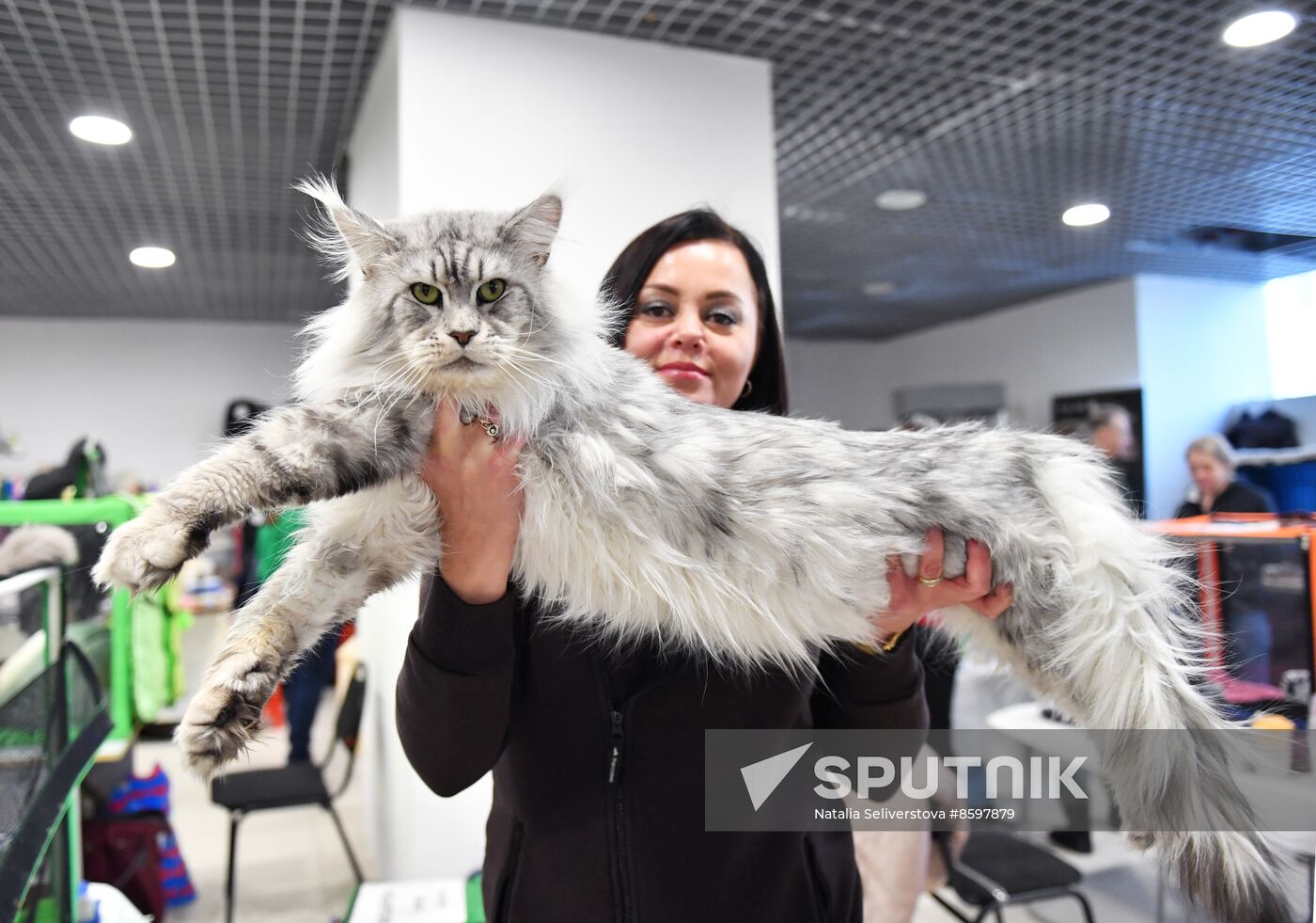 Russia Cat Show
