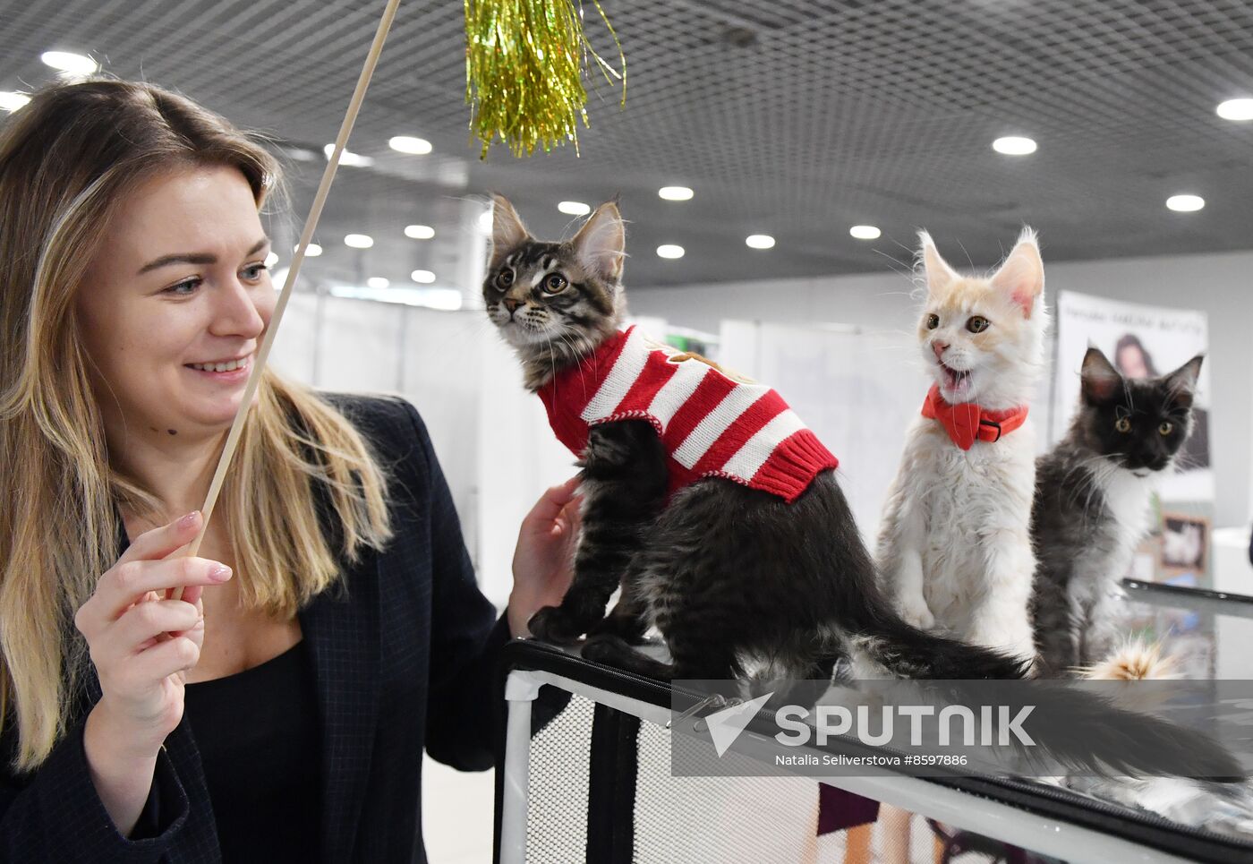 Russia Cat Show