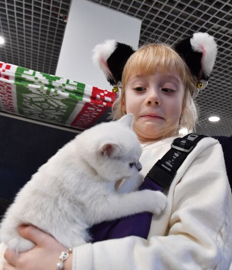 Russia Cat Show