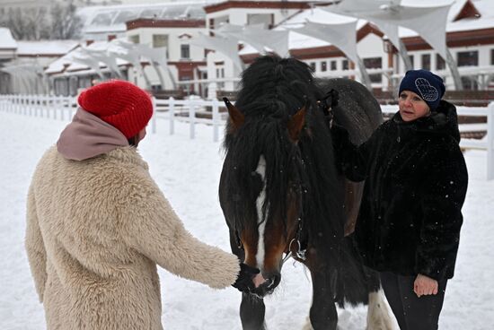 RUSSIA EXPO. Vladimir Heavy Draft breed show