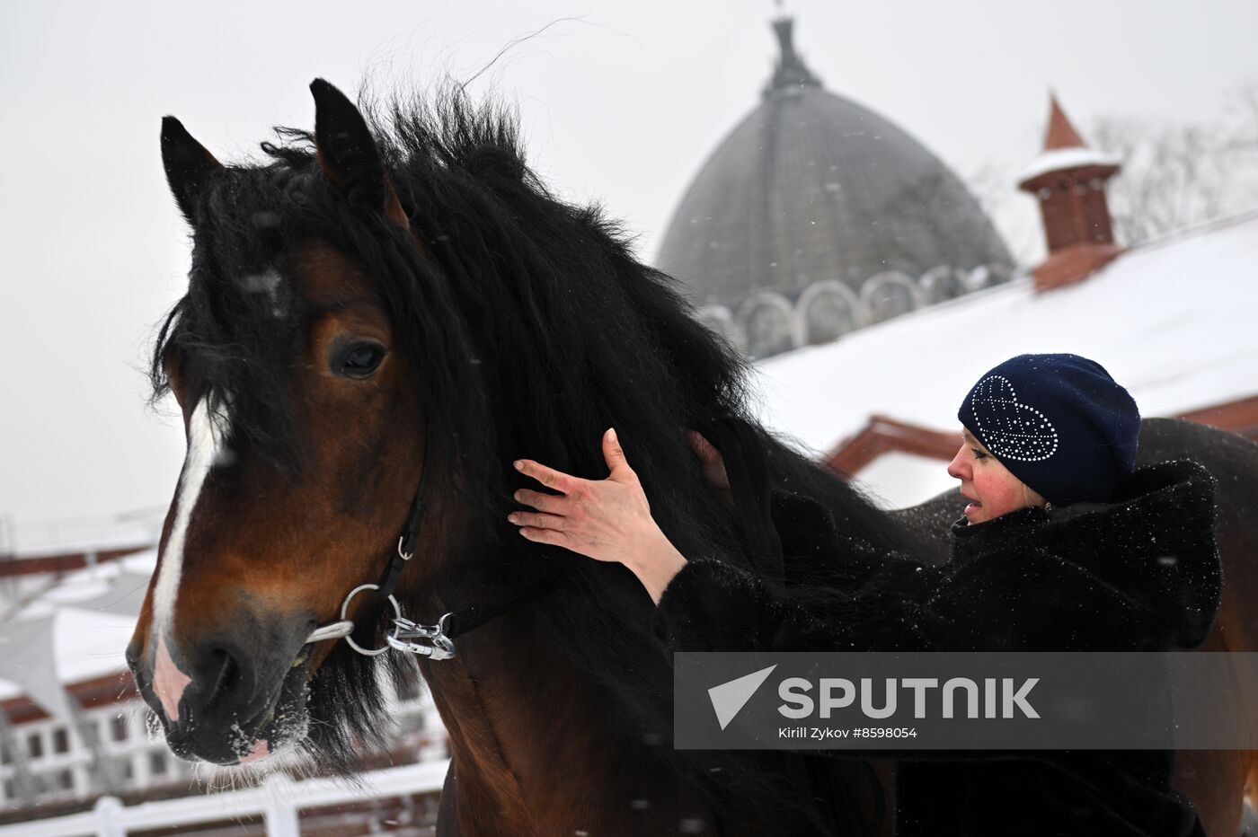 RUSSIA EXPO. Vladimir Heavy Draft breed show