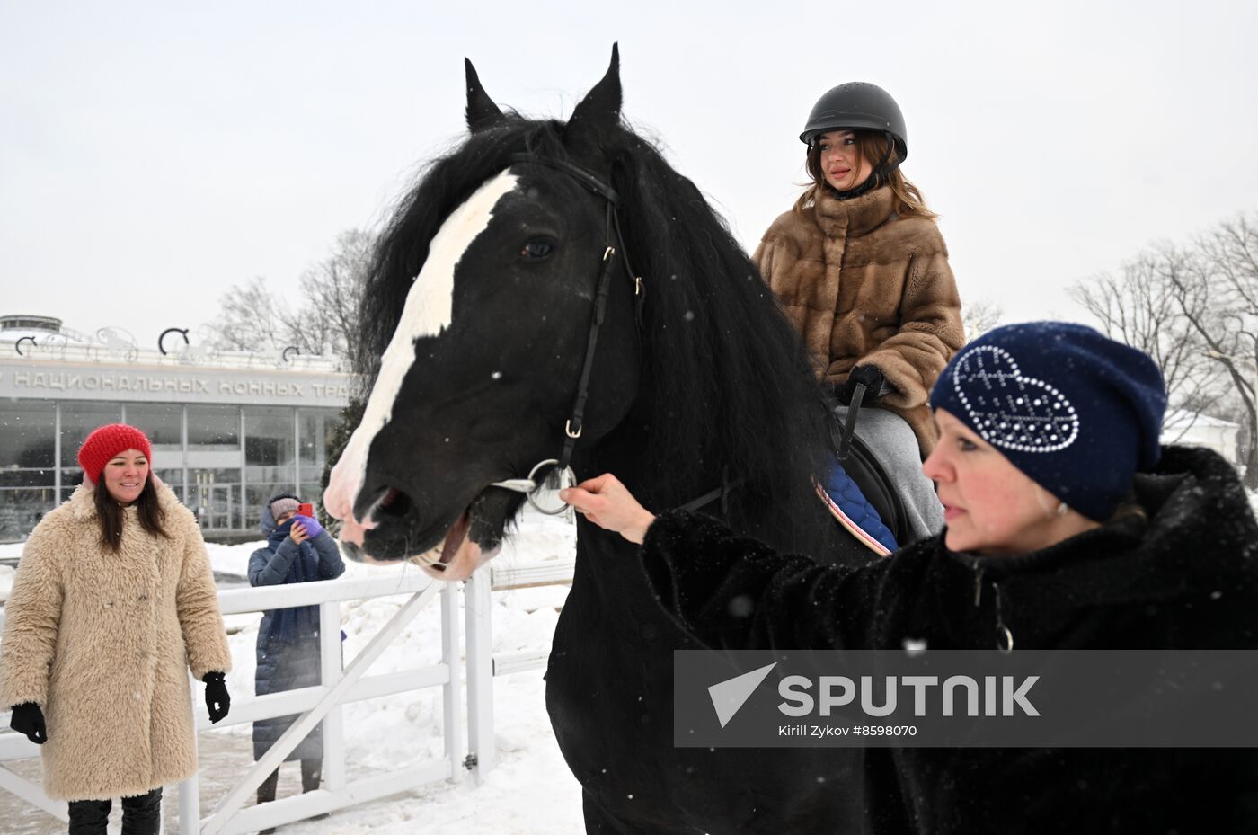 RUSSIA EXPO. Vladimir Heavy Draft breed show