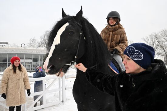 RUSSIA EXPO. Vladimir Heavy Draft breed show