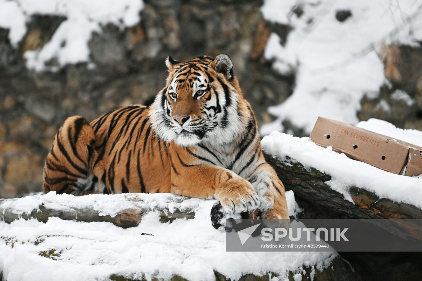 Russia Zoo