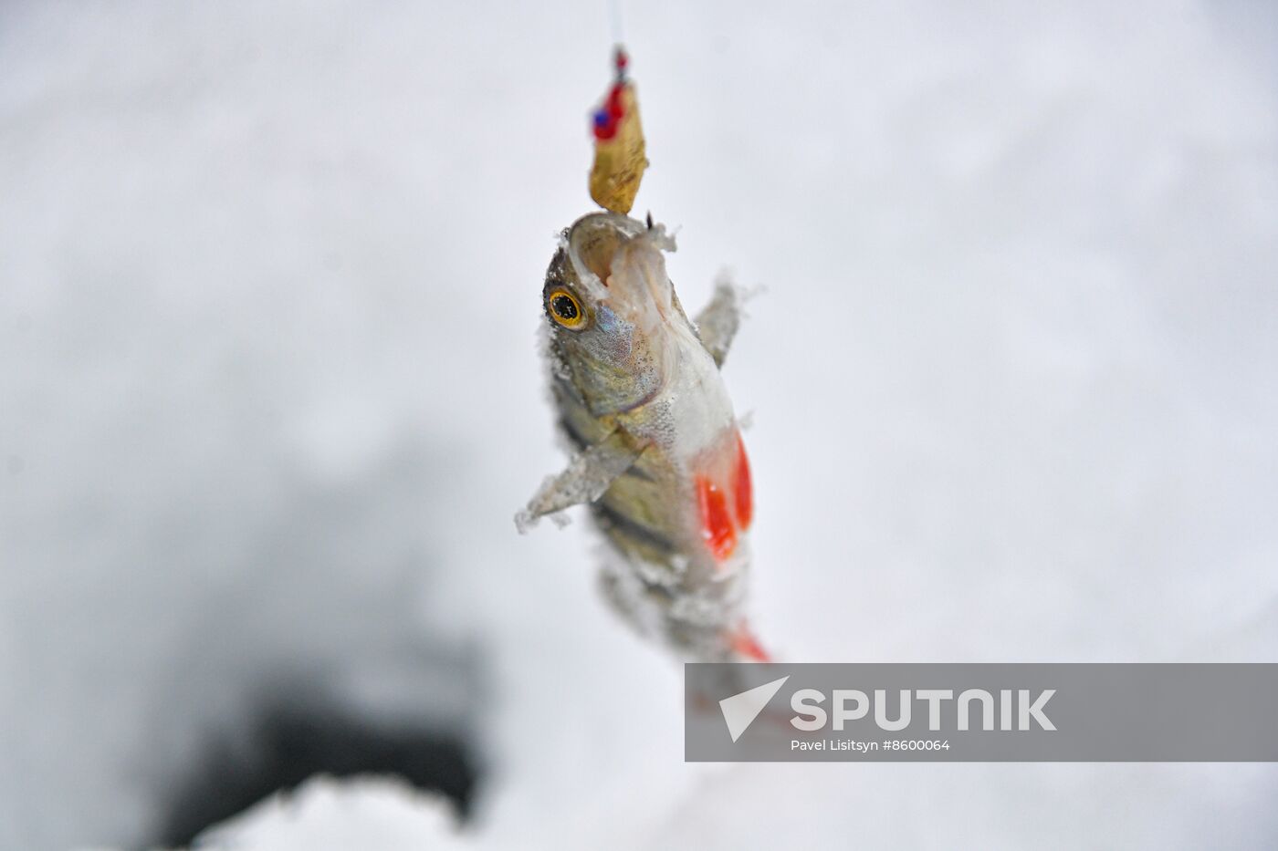 Russia Winter Fishing