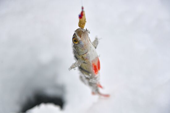 Russia Winter Fishing