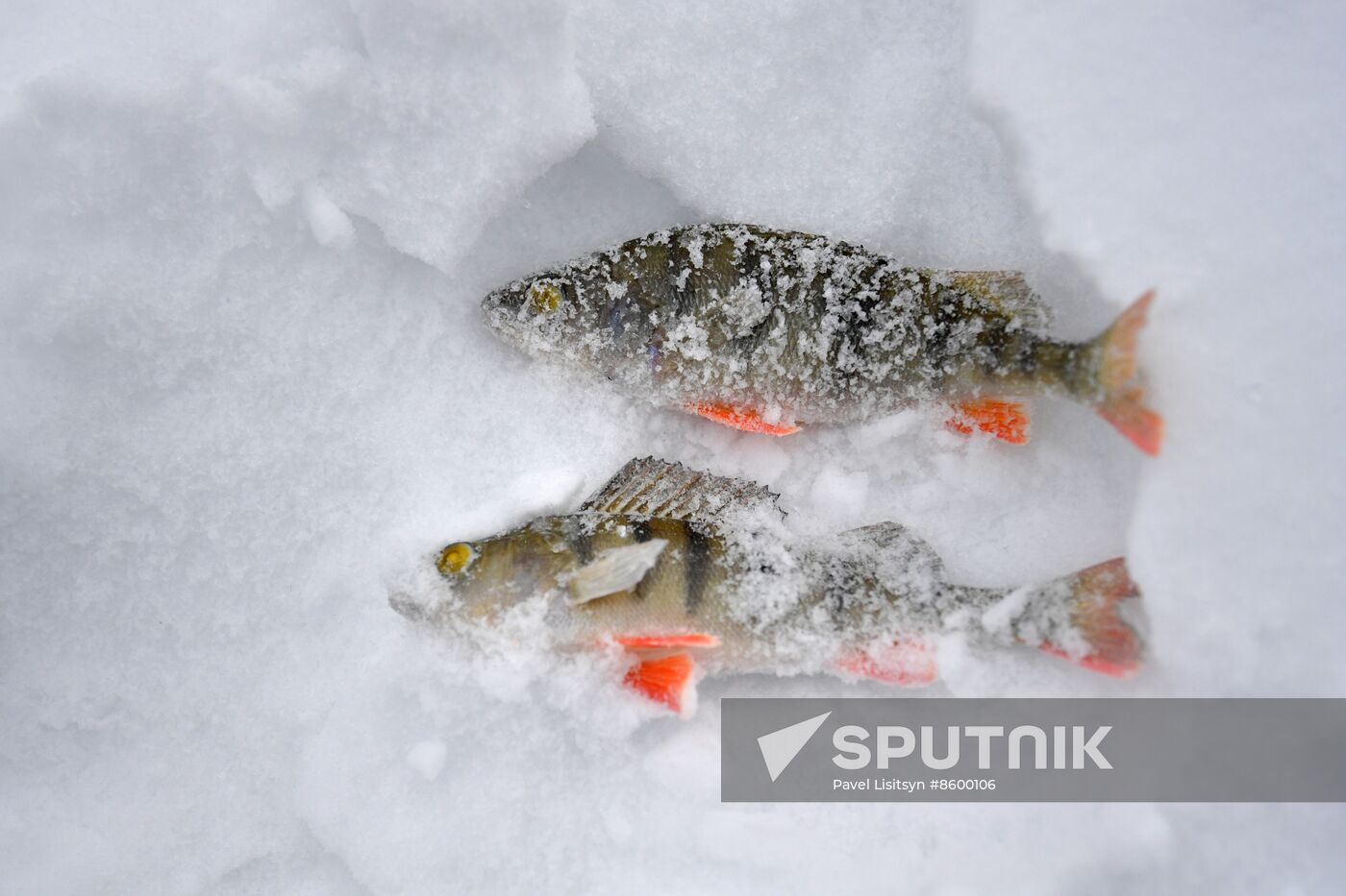 Russia Winter Fishing