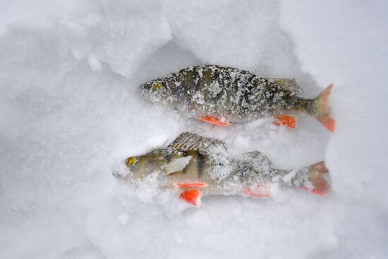 Russia Winter Fishing