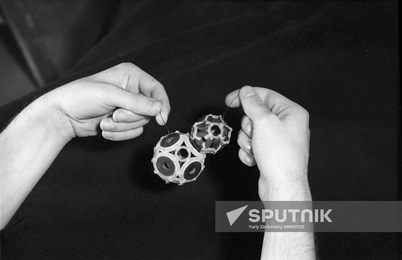 Alexander Kushelev, founder and head of Nanomir lab