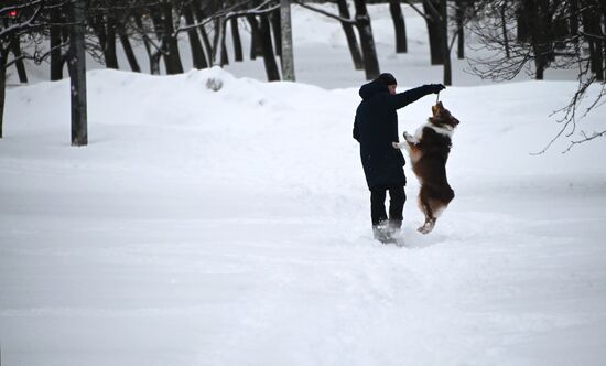 Russia Weather