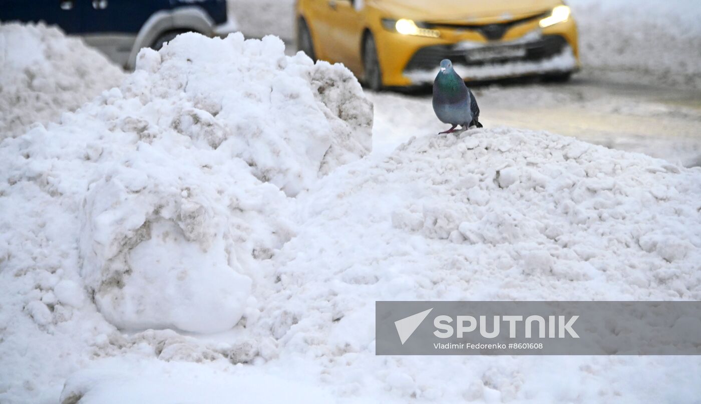 Russia Weather