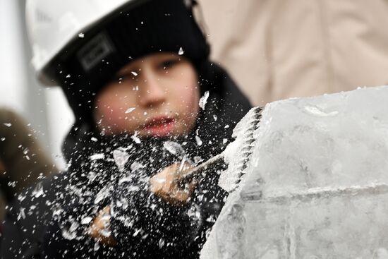 The International RUSSIA EXPO Forum and Exhibition. Ice Sculpture Festival. Ice sculpting workshop for children. Location: Russia, Moscow. Author: Kirill Kallinikov/Sputnik. RUSSIA EXPO. Ice Sculpture Festival