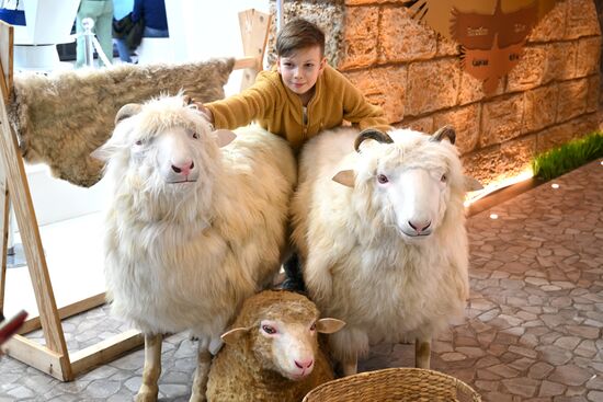 The International RUSSIA EXPO Forum and Exhibition. The stand of the Republic of Dagestan. Pavilion 75. Location: Russia, Moscow. Author: Maksim Blinov/Sputnik. RUSSIA EXPO