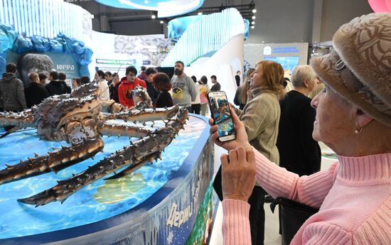 International RUSSIA EXPO forum and exhibition. The Sakhalin display stand, Pavilion No. 75. Location: Russia, Moscow. Author: Stanislav Krasilnikov/Sputnik. RUSSIA EXPO