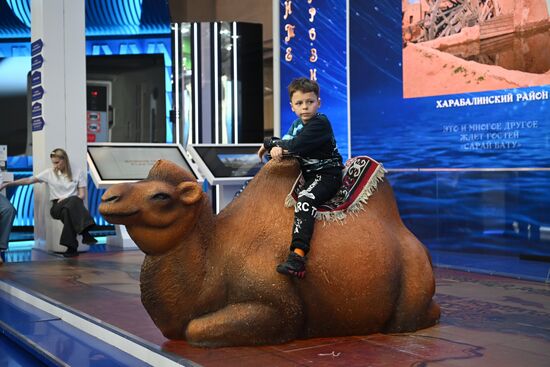International RUSSIA EXPO forum and exhibition. A visitor at the exhibition. Location: Russia, Moscow. Author: Kristina Kormilitsyna/Sputnik. RUSSIA EXPO