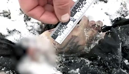 Russia Ukraine POWs Plane Crash