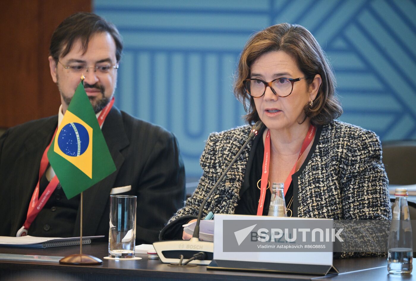 Russia BRICS Sherpas Meeting