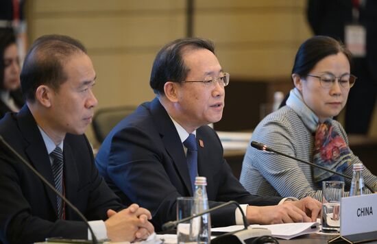 Russia BRICS Sherpas Meeting