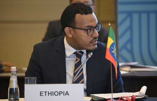 Russia BRICS Sherpas Meeting