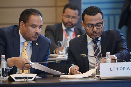 Russia BRICS Sherpas Meeting