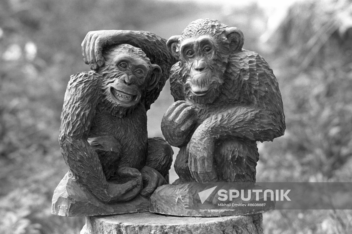 Wood carver V. Sokolov