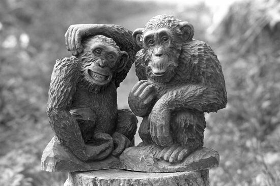 Wood carver V. Sokolov