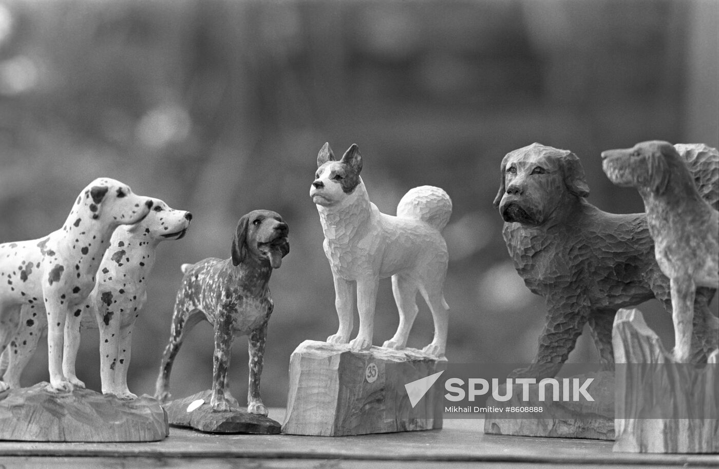 Wood carver V. Sokolov