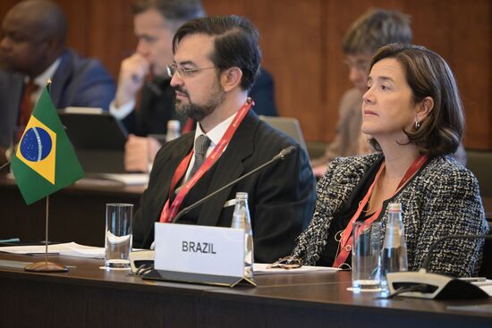 Russia BRICS Sherpas Meeting