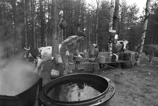 Lesonen brothers' farm in Karelian ASSR