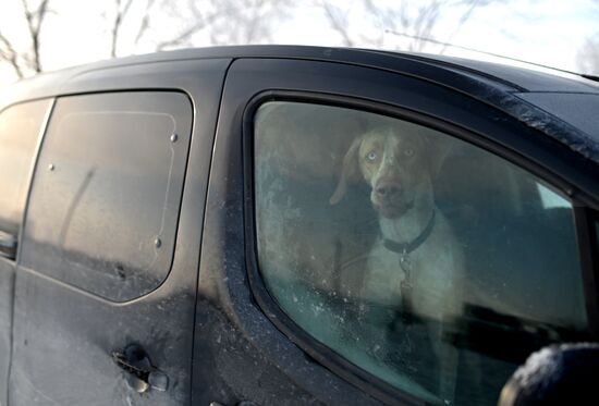 Russia Sled Dog Racing Tournament